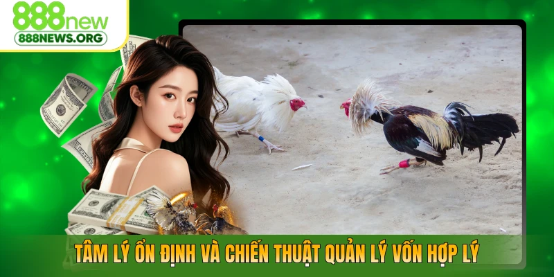 Tâm lý ổn định và chiến thuật quản lý vốn hợp lý